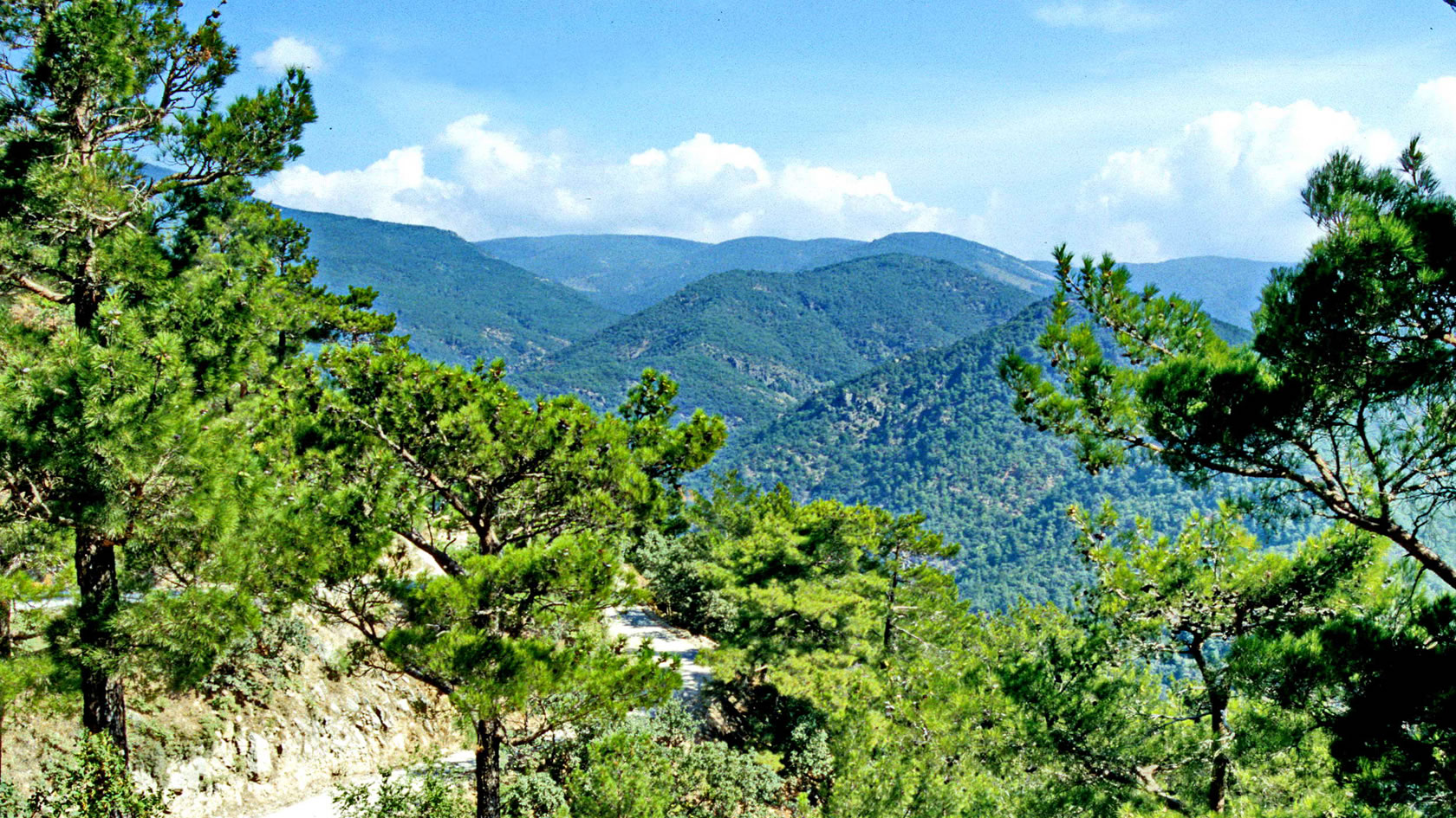 Yazı İKİ